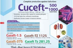 Curasia-Visulaid_page-0014