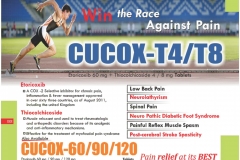 Curasia-Visulaid_page-0022