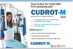 Curasia-Visulaid_page-0023