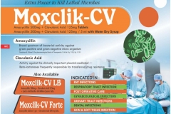 Curasia-Visulaid_page-0042