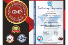 Neuro-Visulaid-1_page-0002