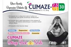 Neuro-Visulaid-1_page-0009