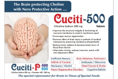 Neuro-Visulaid-1_page-0010